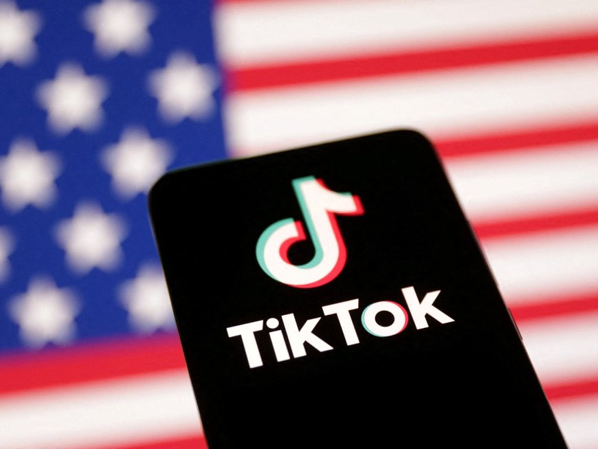 美国版TikTok能否拯救该应用免于被禁?