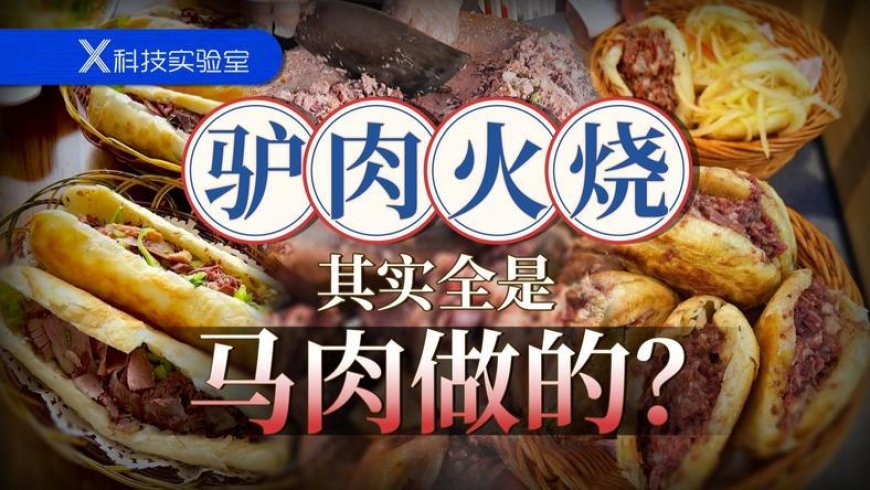 在北京吃了十年驴肉火烧,一口驴肉沫儿都没吃到过?