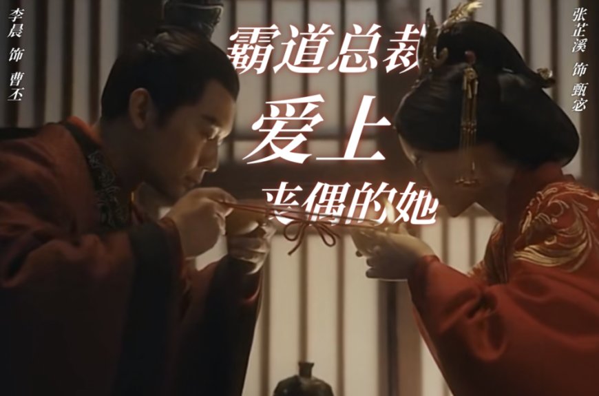 为啥中国古代那么多“霸道总裁爱上离婚有娃的我”?