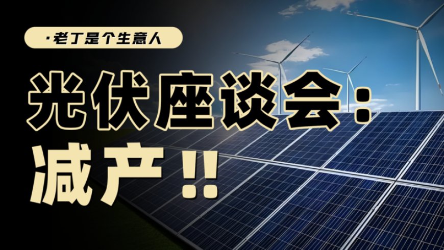 政策与市场的较量,光伏减产能救产业吗?