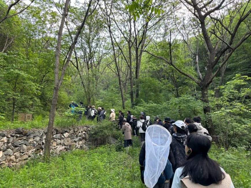 敲敲键盘就能发论文，生态学家还有必要做野外研究吗？