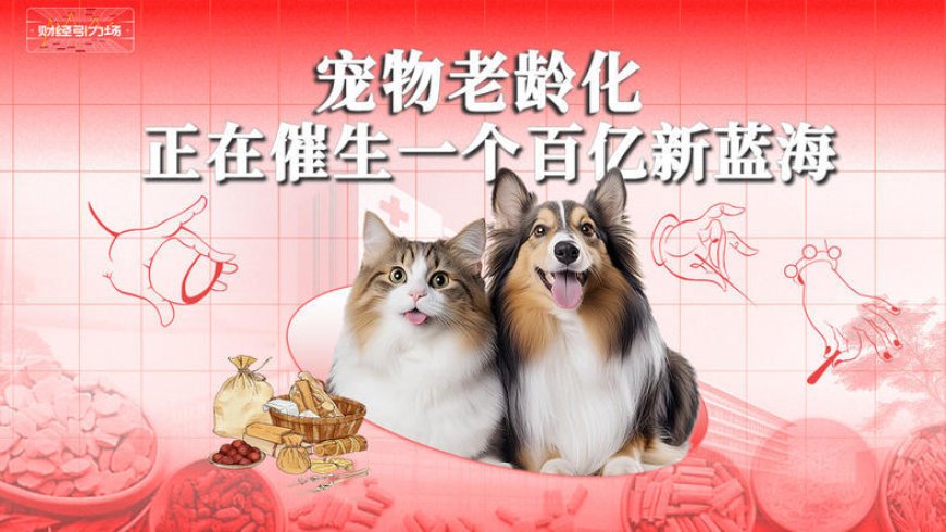 宠物老龄化,正在催生一个百亿新蓝海